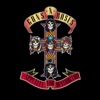 Guns N' Roses - Paradise City