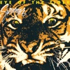 Survivor - Eye of the tiger